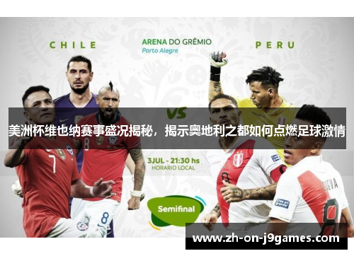 美洲杯维也纳赛事盛况揭秘，揭示奥地利之都如何点燃足球激情